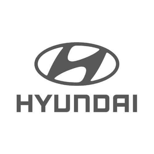 hyundai-clientbw